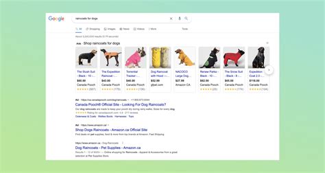 shopify search results page|Complete Ecommerce SEO Guide (2024) .